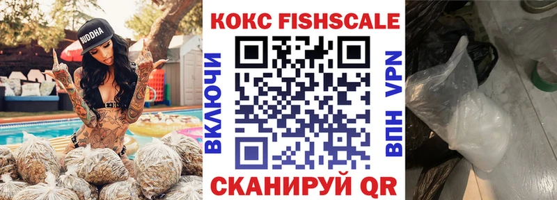 Кокаин FishScale  Новопавловск 