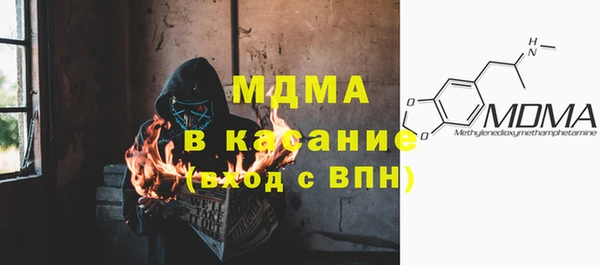 индика Ельня