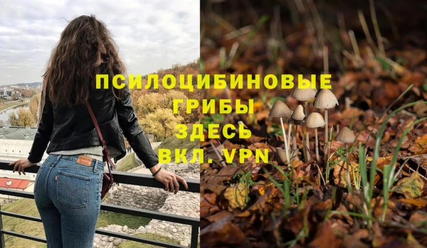 мдма Осинники