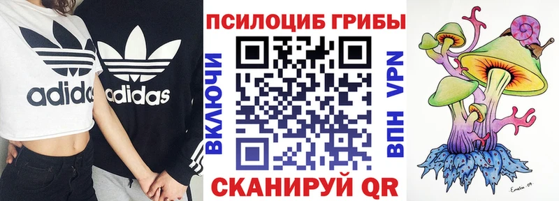 цены наркотик  Новопавловск  mega tor  Галлюциногенные грибы прущие грибы 